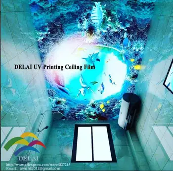 Делфин, плаващ в море от PVC таван филм фантастичен подводен риба ярка кремена таванна филм Изображение