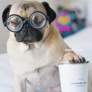 Нови точки за домашни любимци, индивидуални слънчеви очила за кучета, подходящи за малки кучета, красиви модели, фотографирующие Бижута, козметични средства Изображение