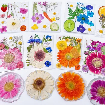 Сухи цветя UV-Смола Декоративни Етикети С Натурални Цветове 3D Пресовани сухи цветя Красотата на Стикер За Дизайн на Ноктите, Епоксидни Попълнете Формата Изображение