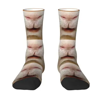 Червени чорапи за морско свинче, мъжки И дамски топли модни чорапи с чудесни животни Изображение